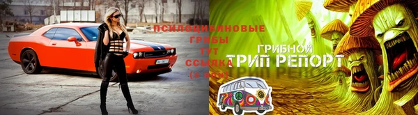 гашик Абдулино